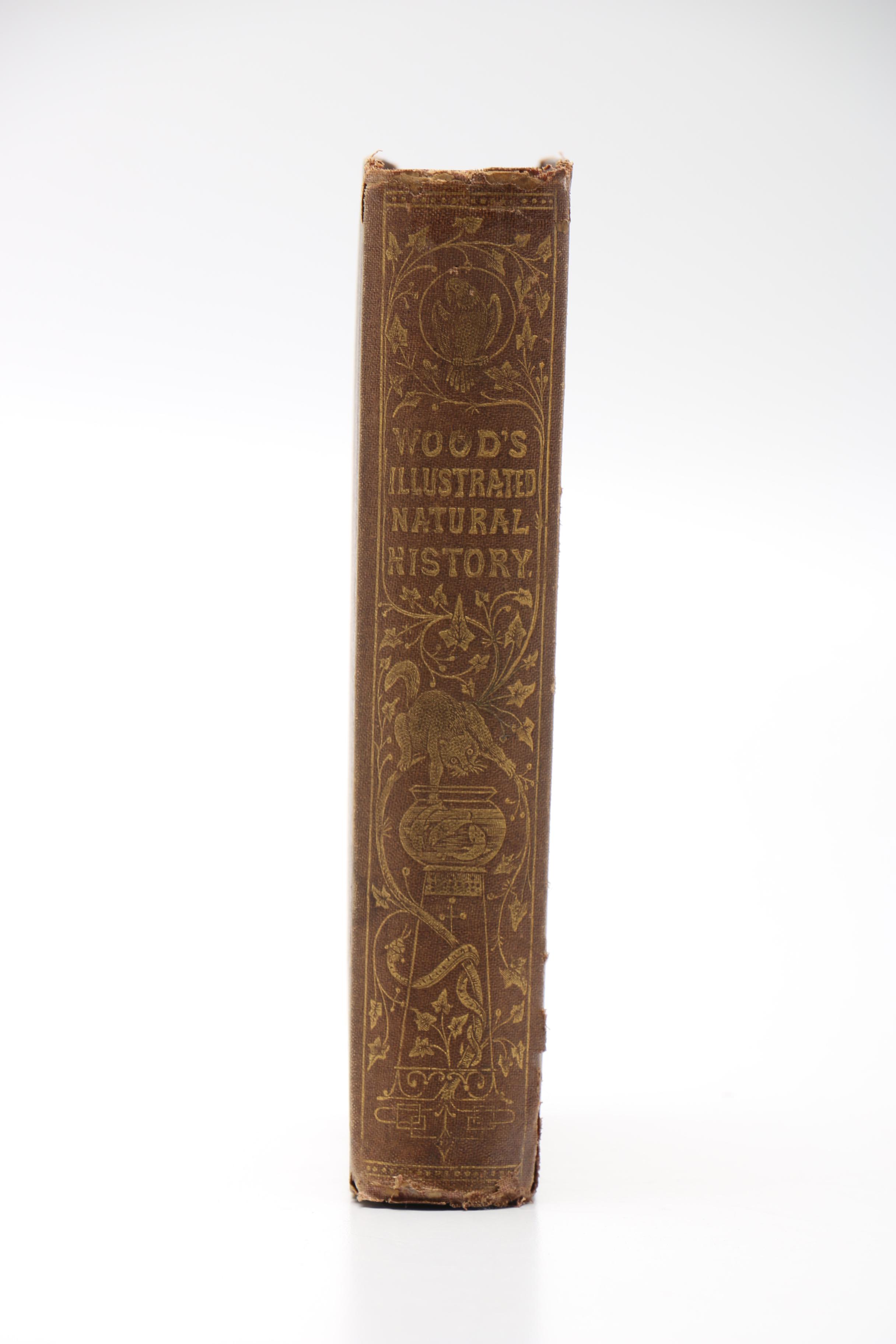 1875 "Wood's Illustrated Natural History"