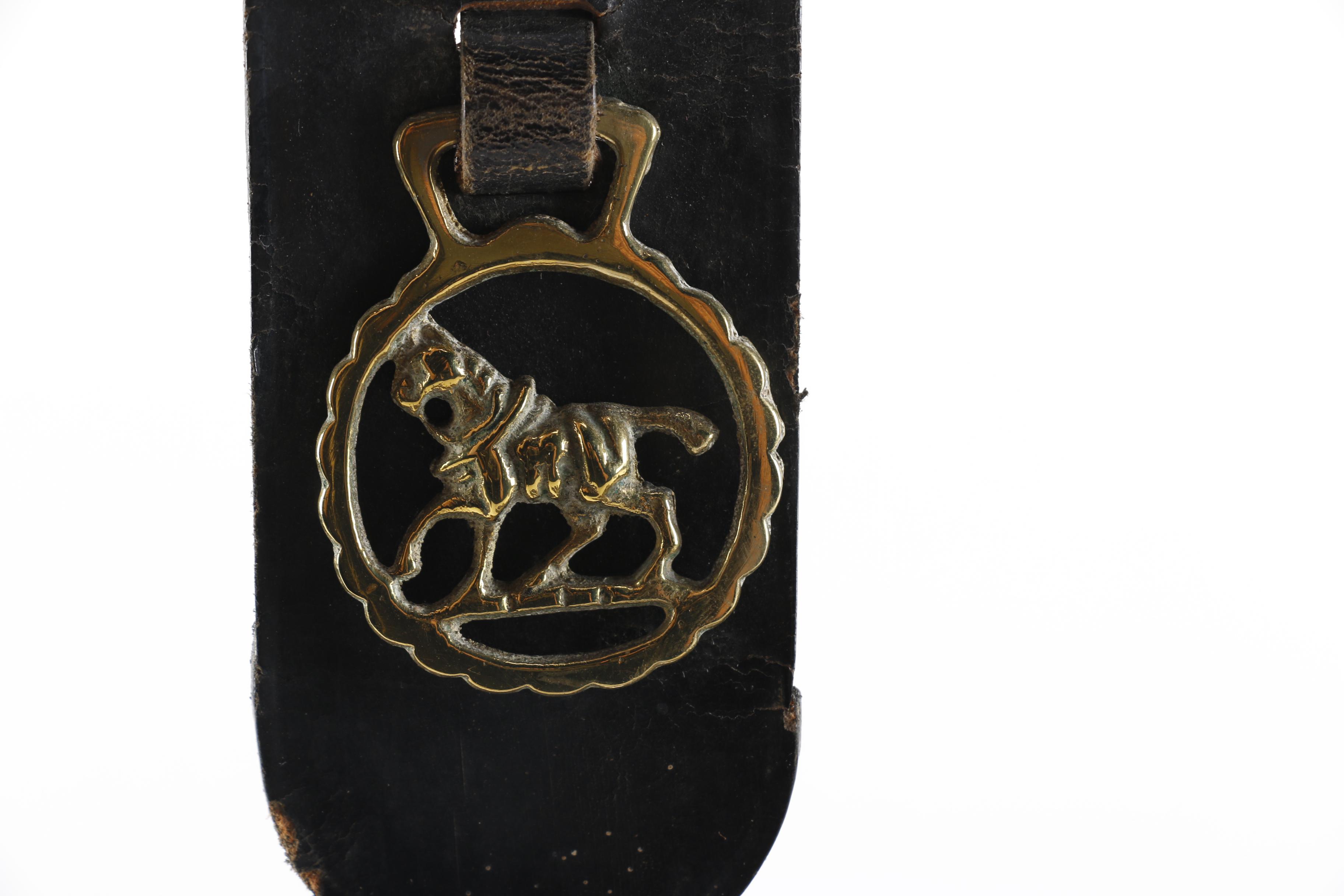 Horse Brasses Mounted on Leather Straps