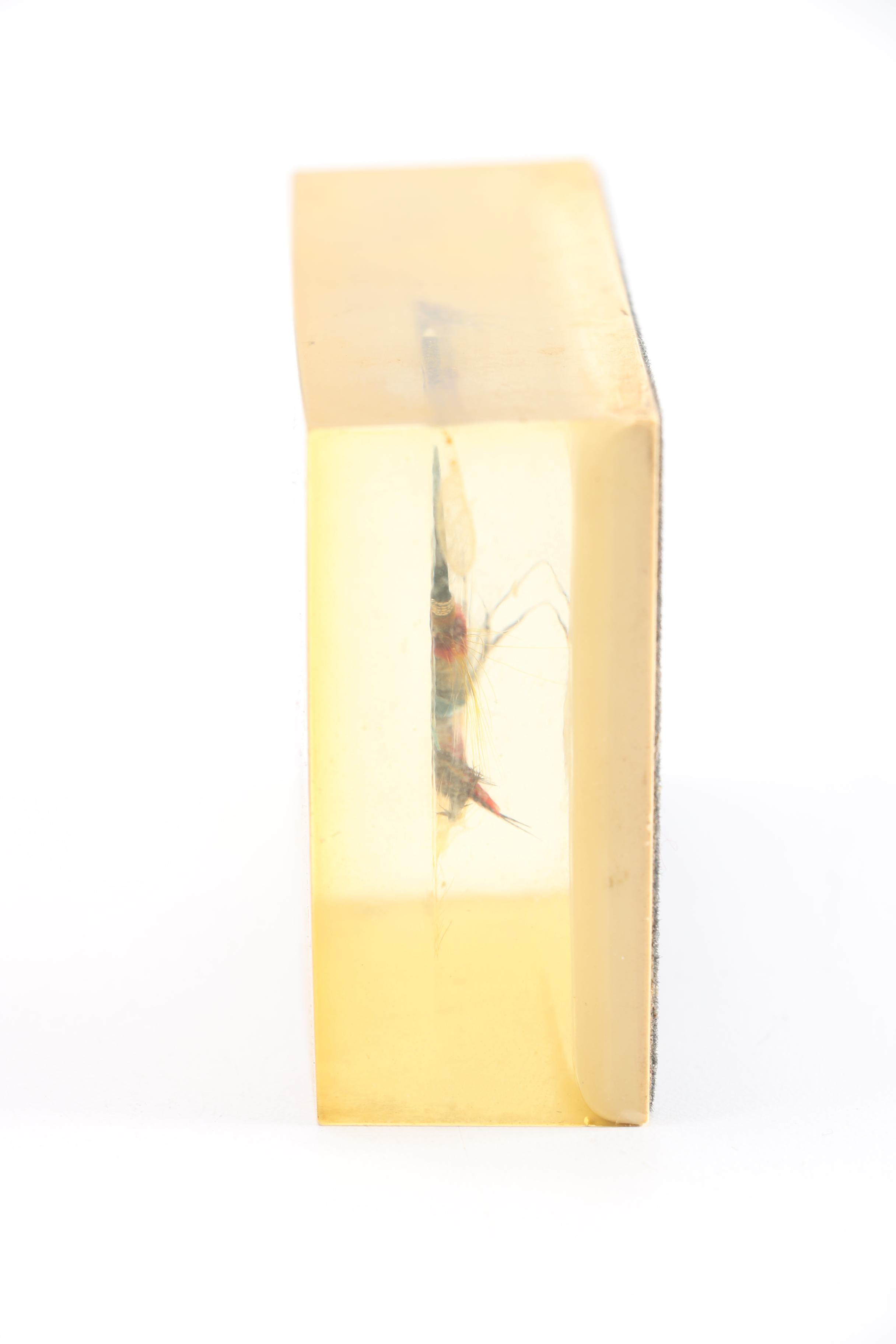 Fishing Fly Displays