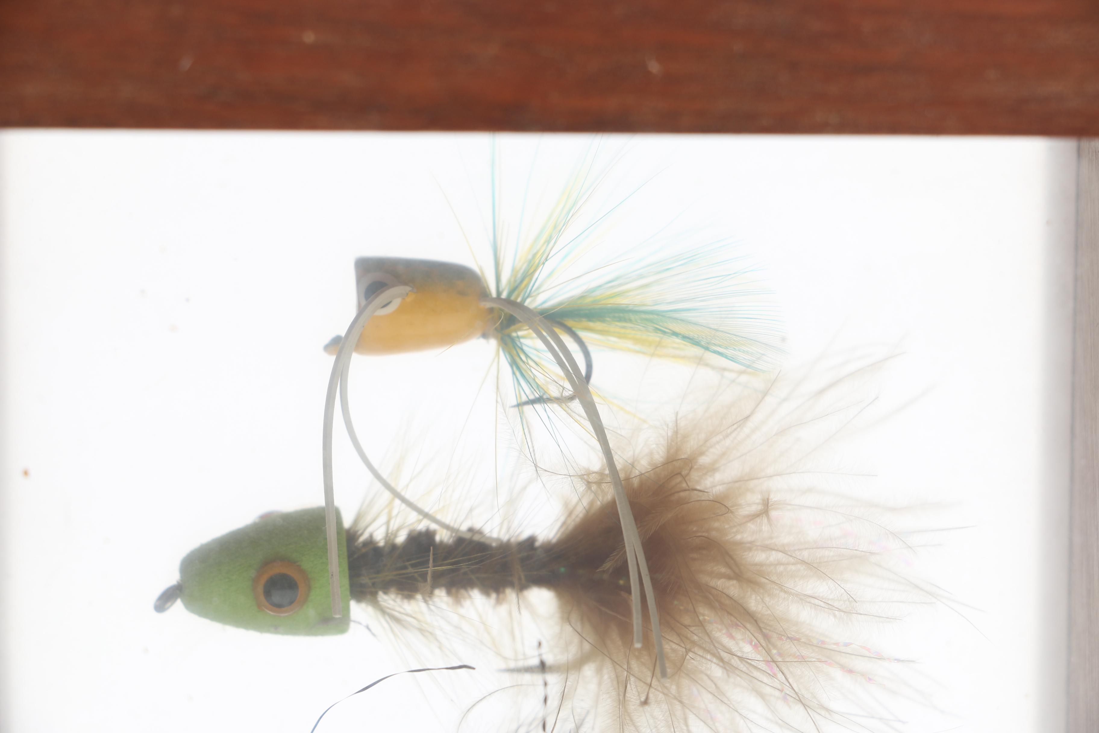 Fishing Fly Displays