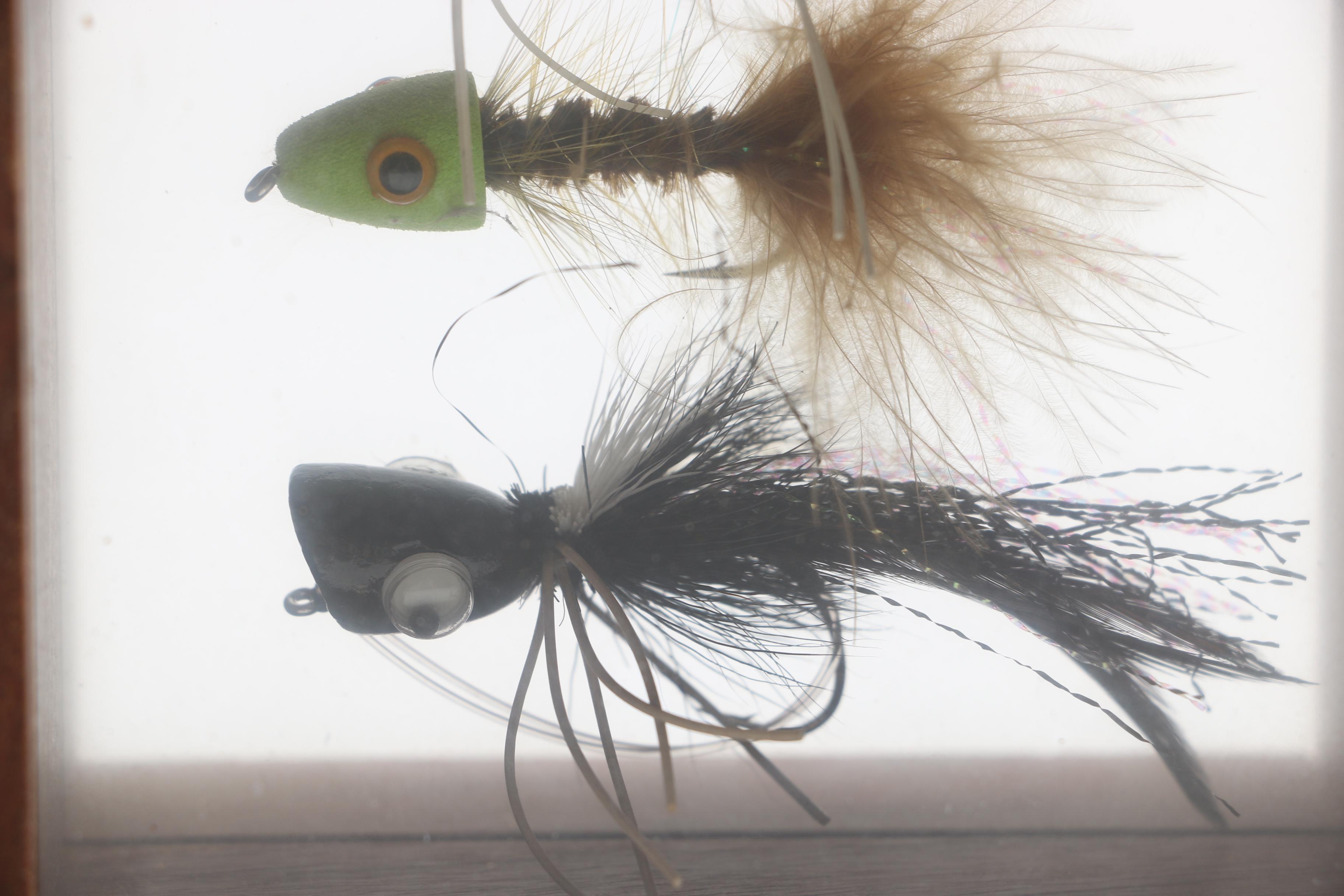 Fishing Fly Displays