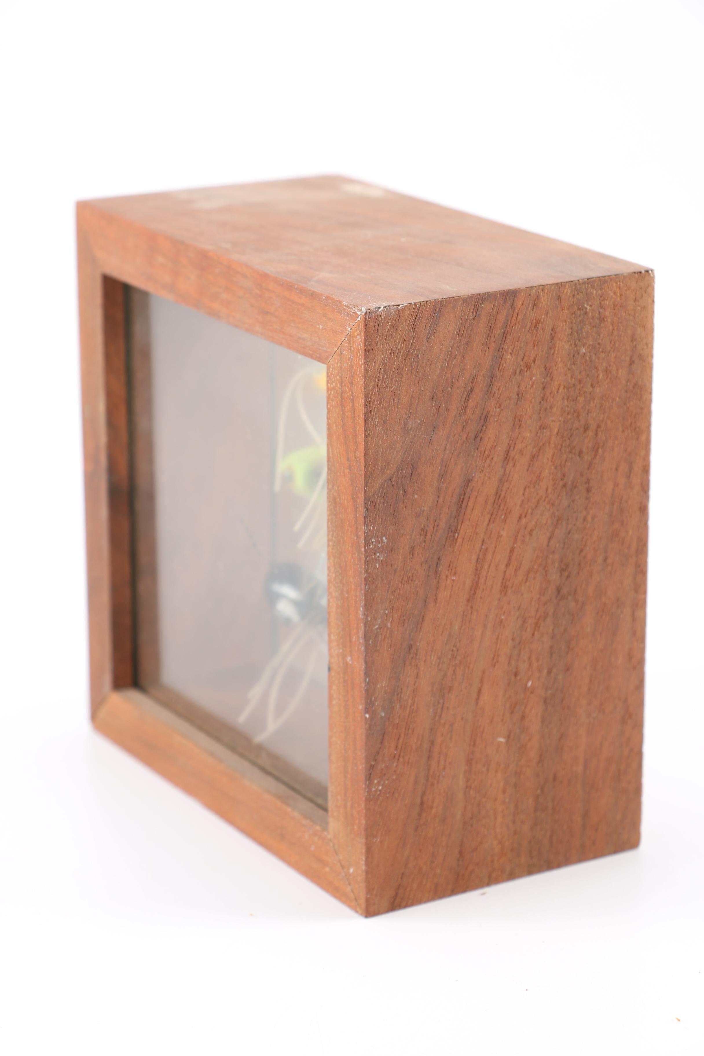 Fishing Fly Displays