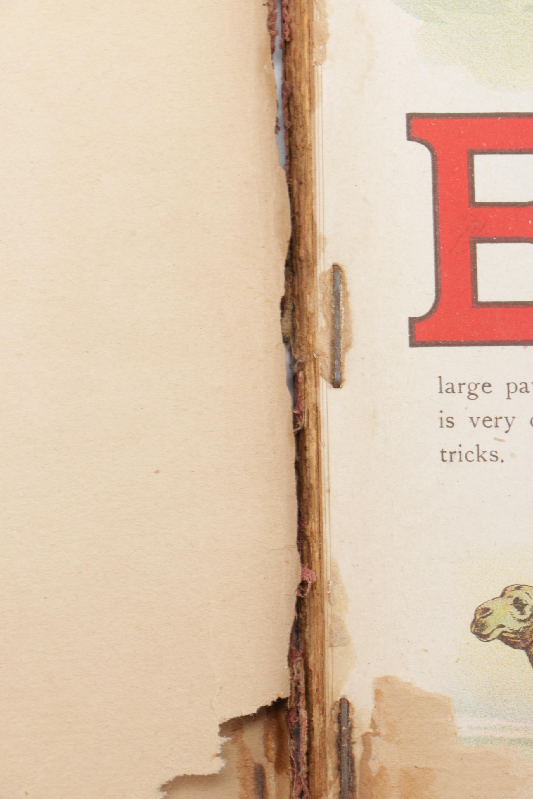 Antiquarian Children's Book "Sunny Days Of Childhood"