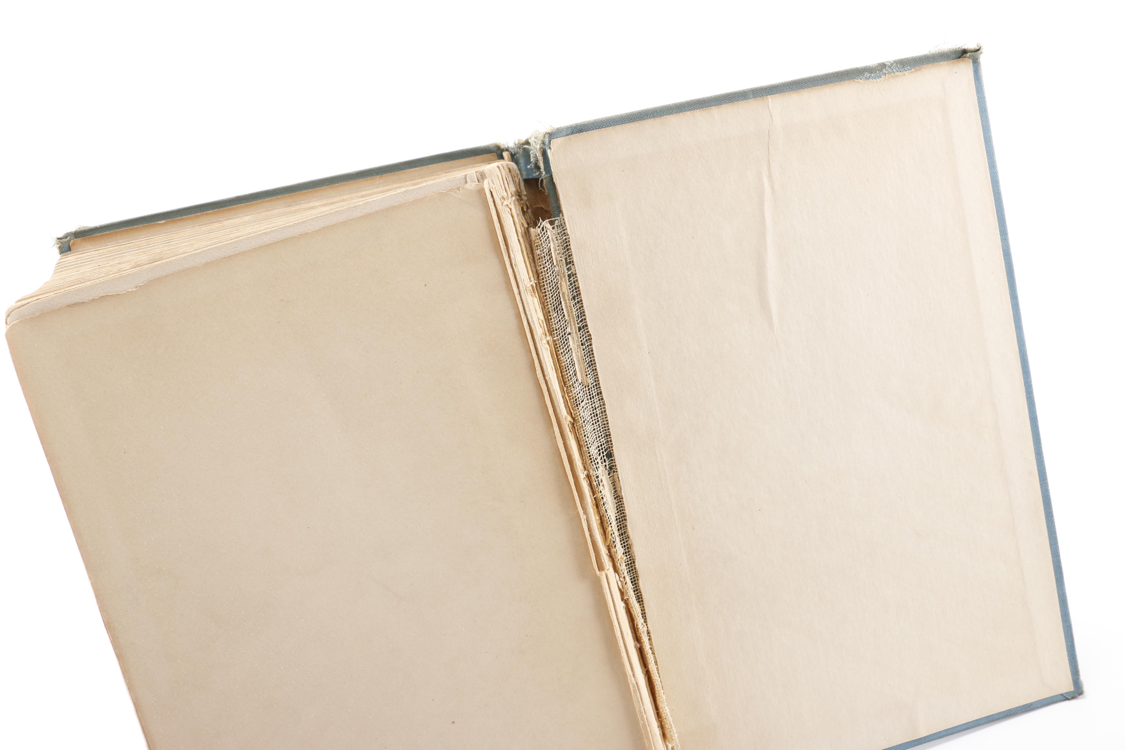 1930 Illustrated "The World's Great Adventure: One Thousand Years of Polar Exploration""