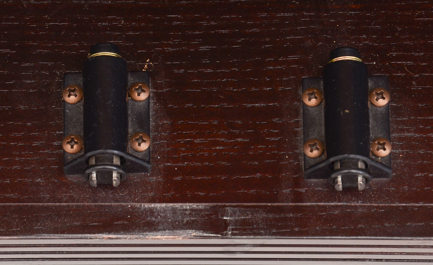 Michael Weiss Ebonized Ash Display Cabinet