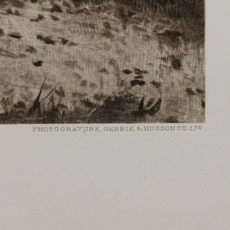 Collection of Photogravures