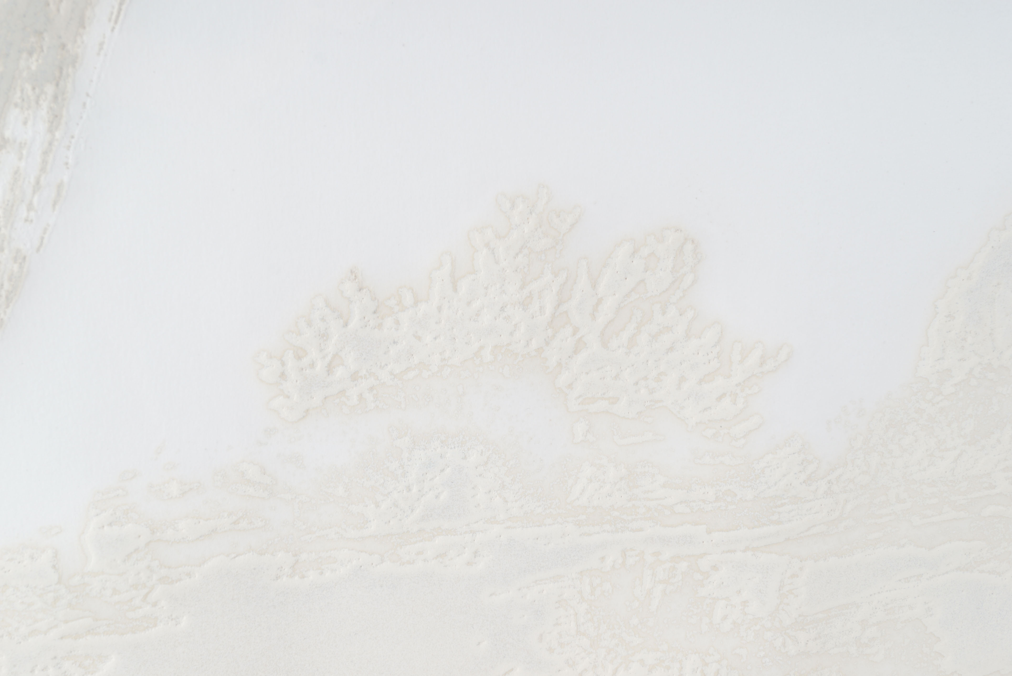 P. Crane Limited Edition Aquatint "Hokkaido I"