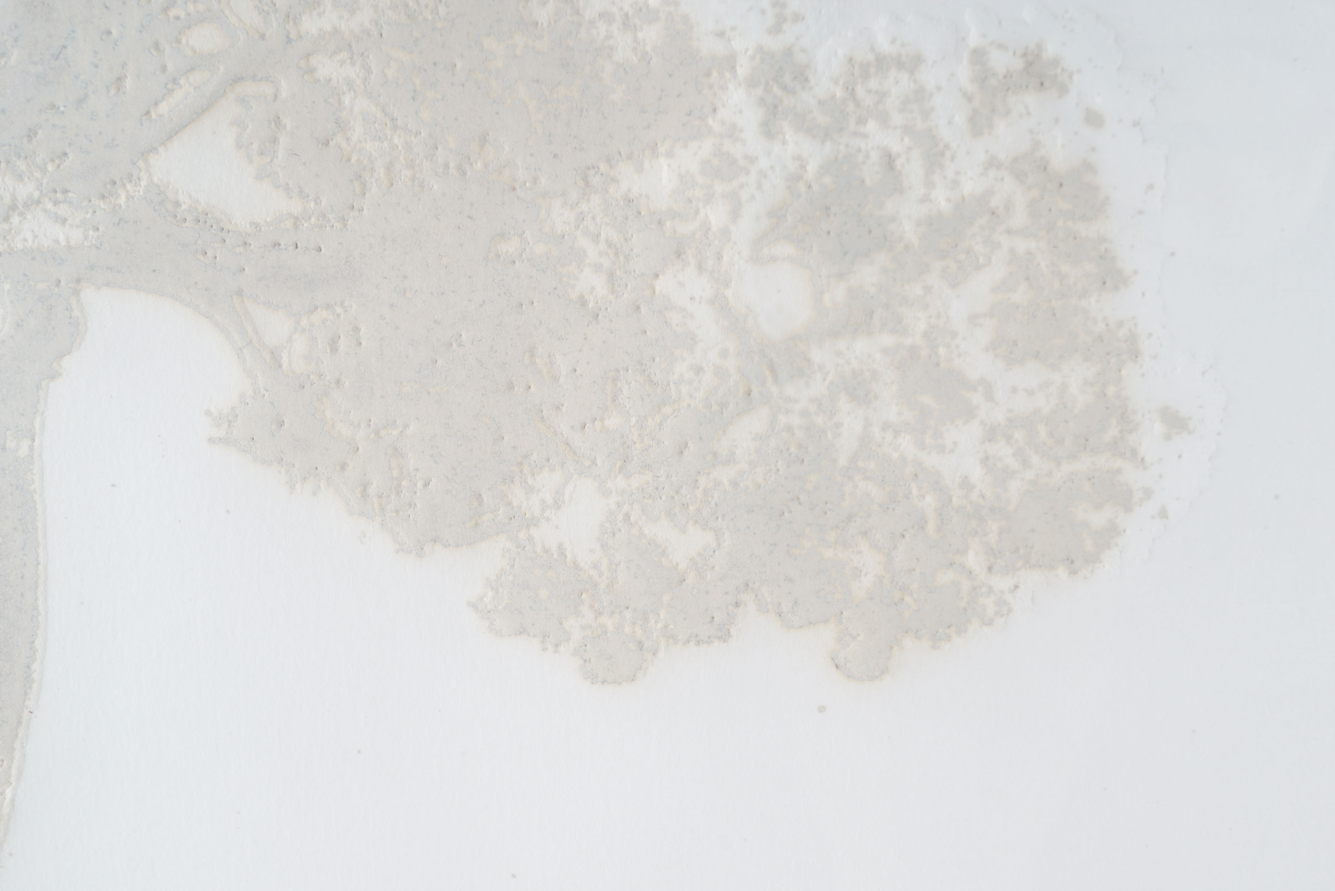 P. Crane Limited Edition Aquatint "Hokkaido I"