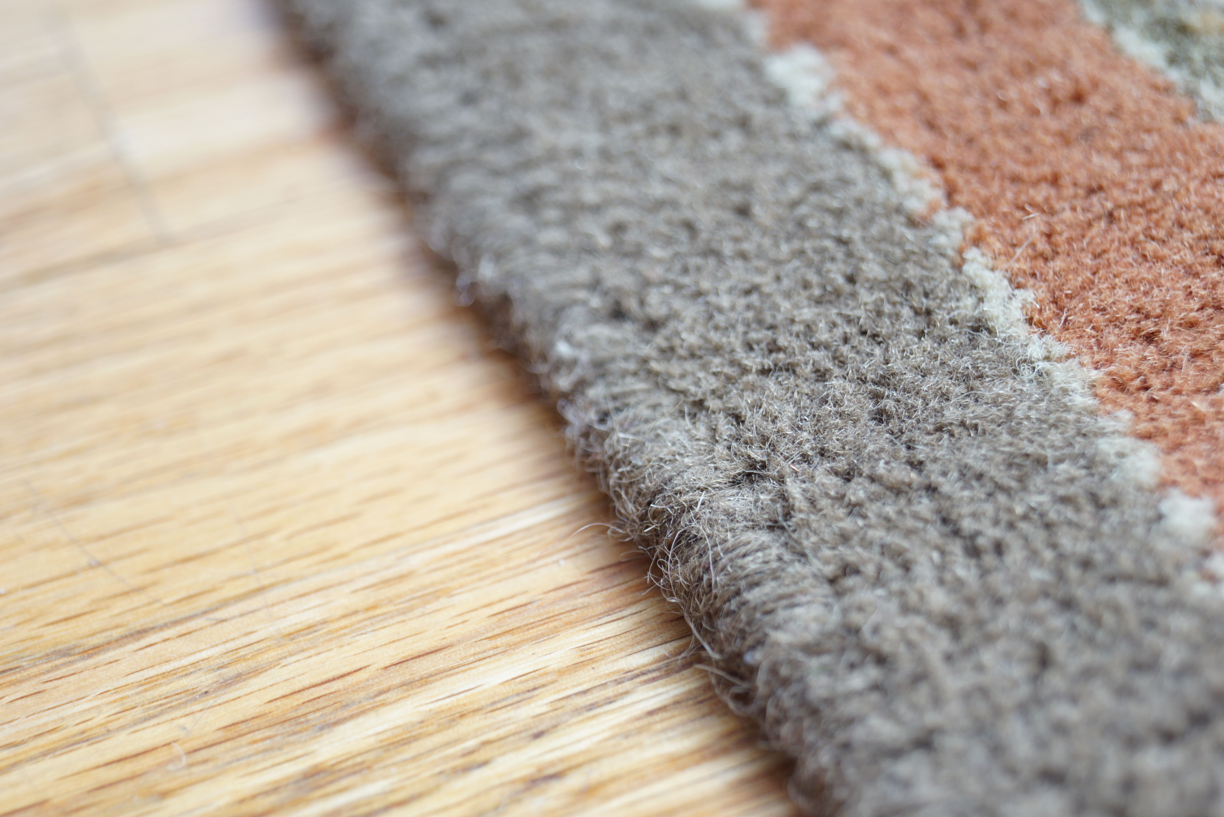 Art Nouveau-Style Wool Area Rug