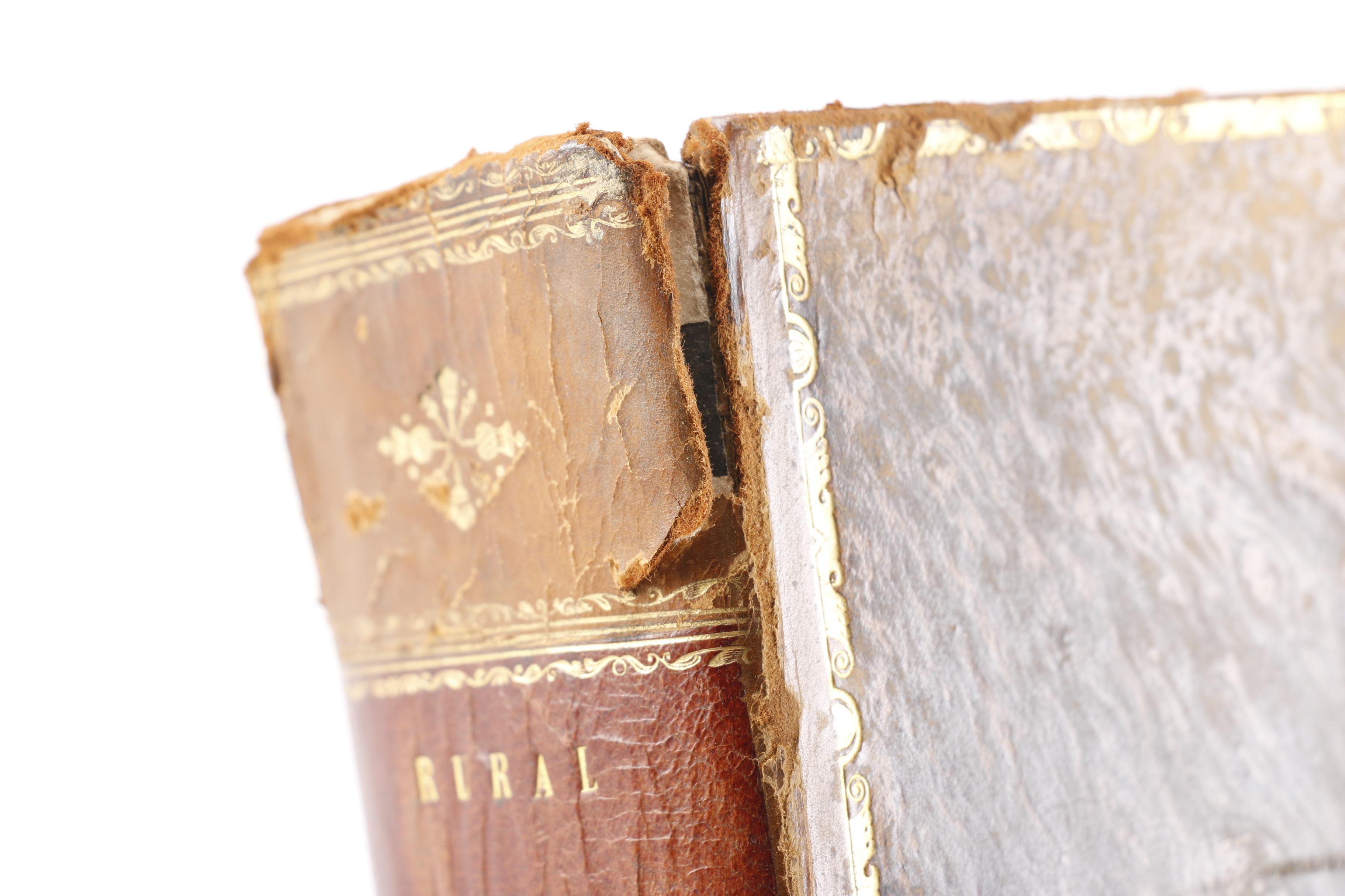 Collection of Four Antique Books