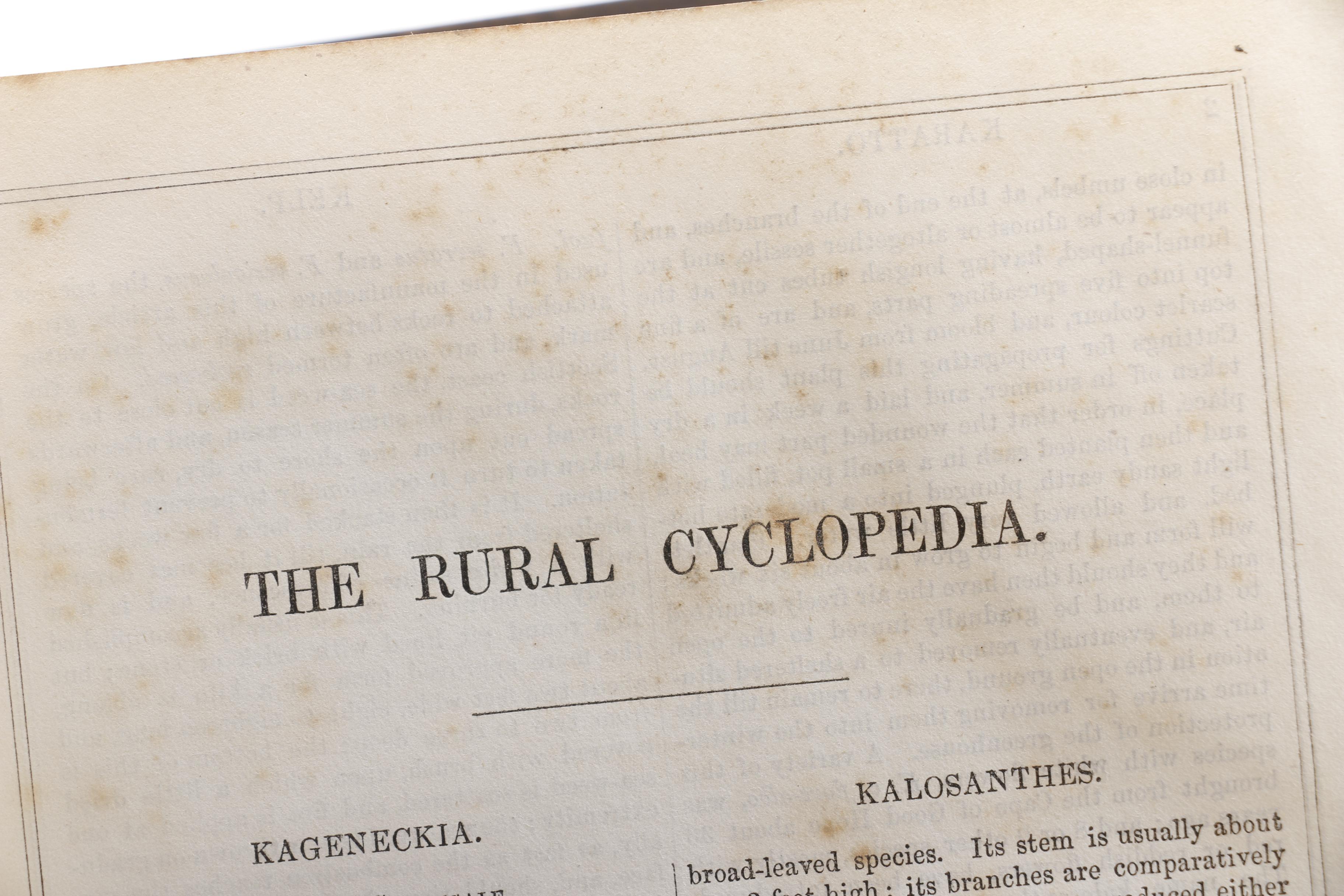 Collection of Four Antique Books