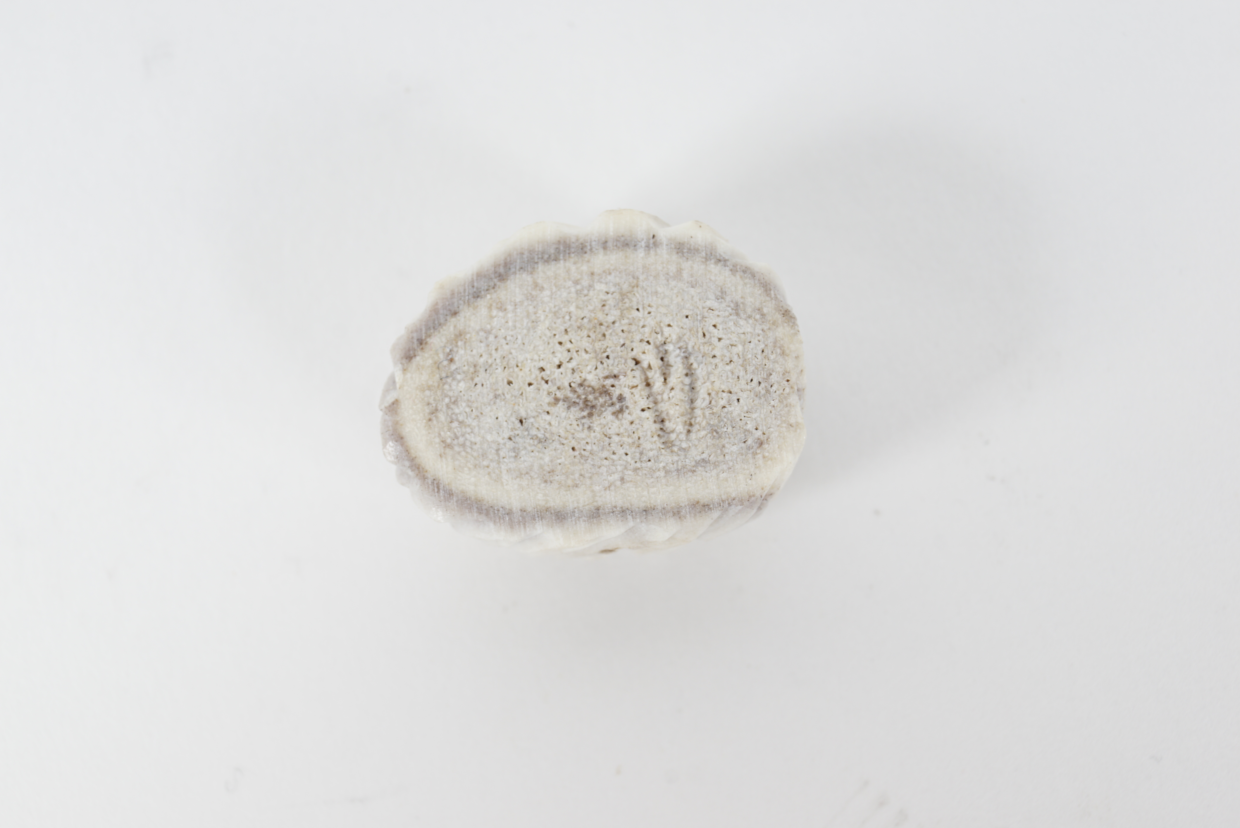 Group of Loon Figurines and Decor