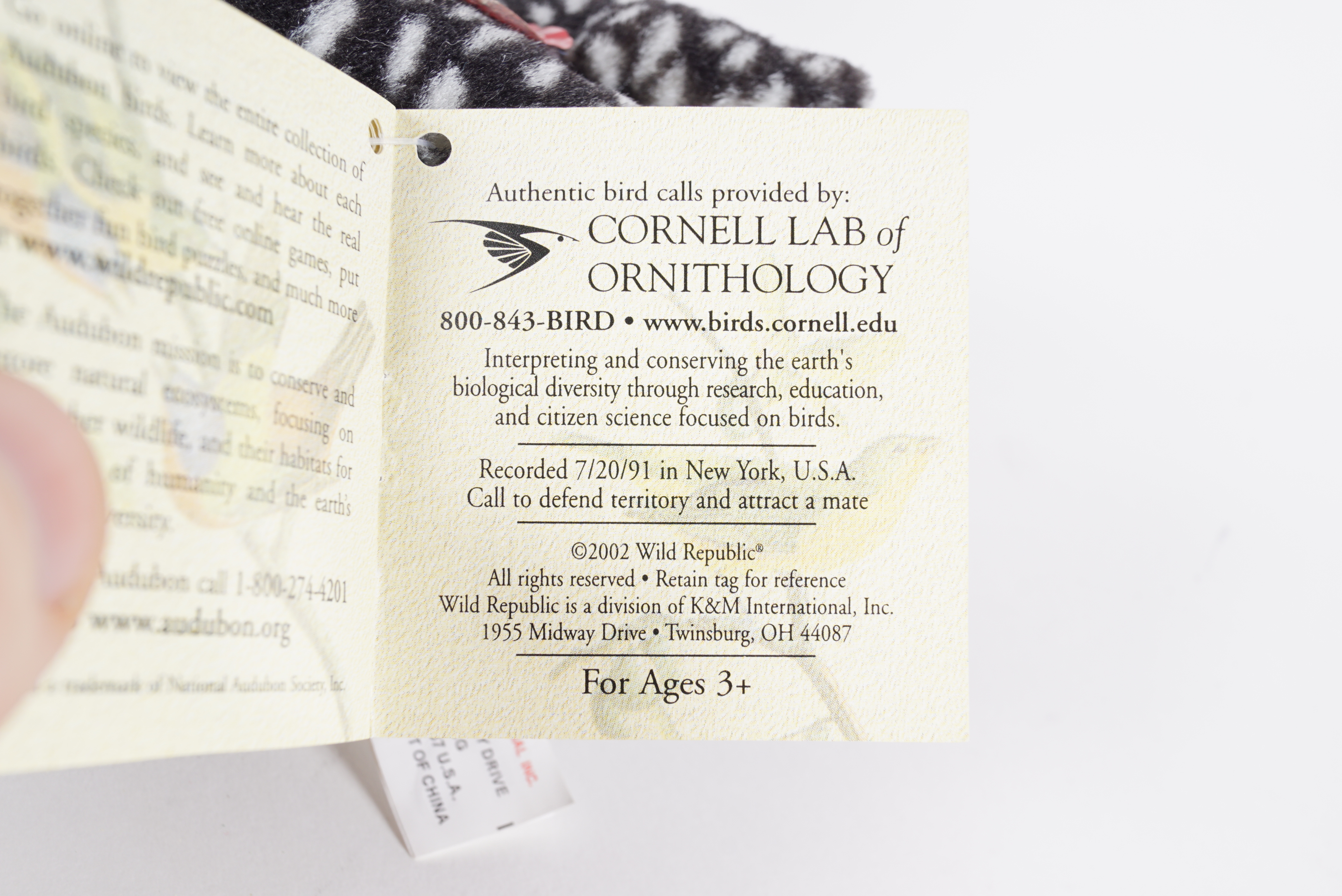 Group of Loon Figurines and Decor