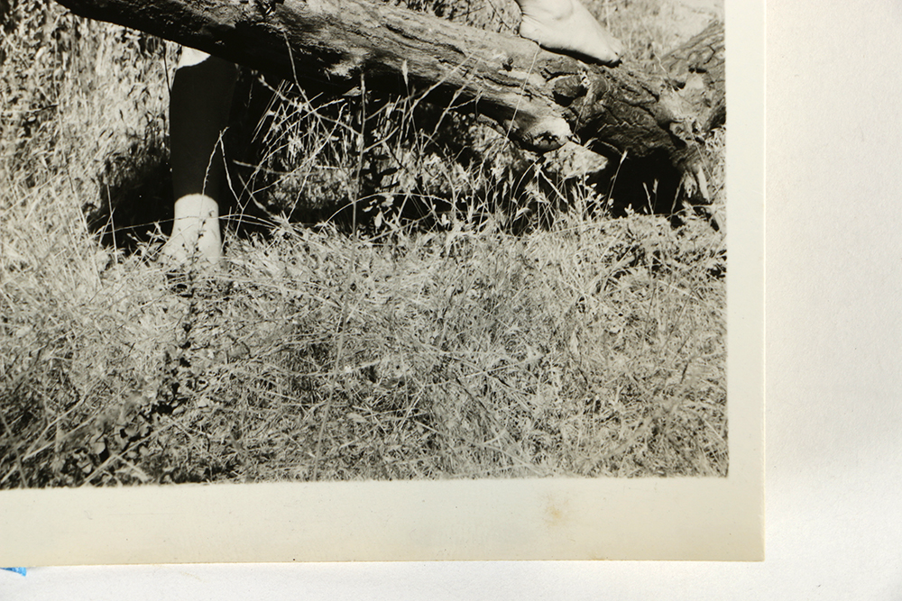 1950s "Cheesecake" Pin-up Photo