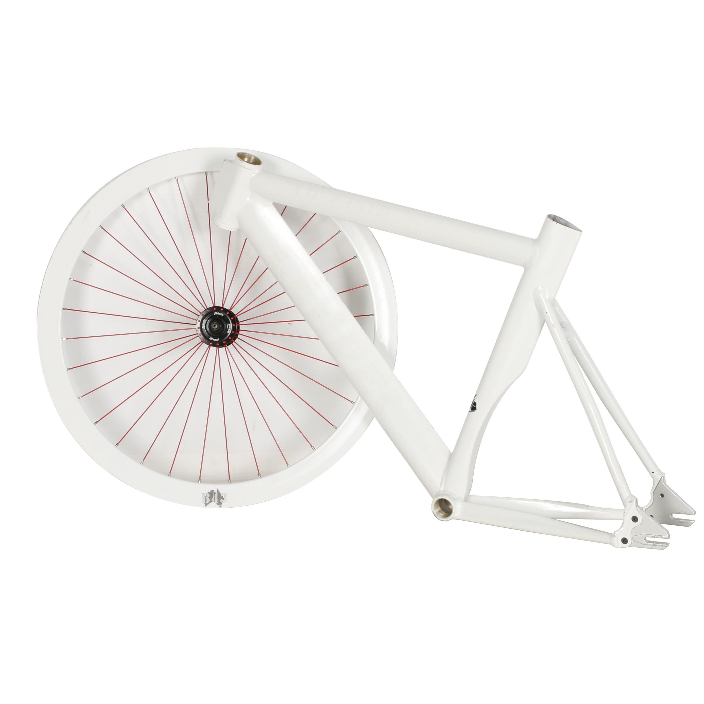 Leader Bicycle Frame and Velocity Wheel