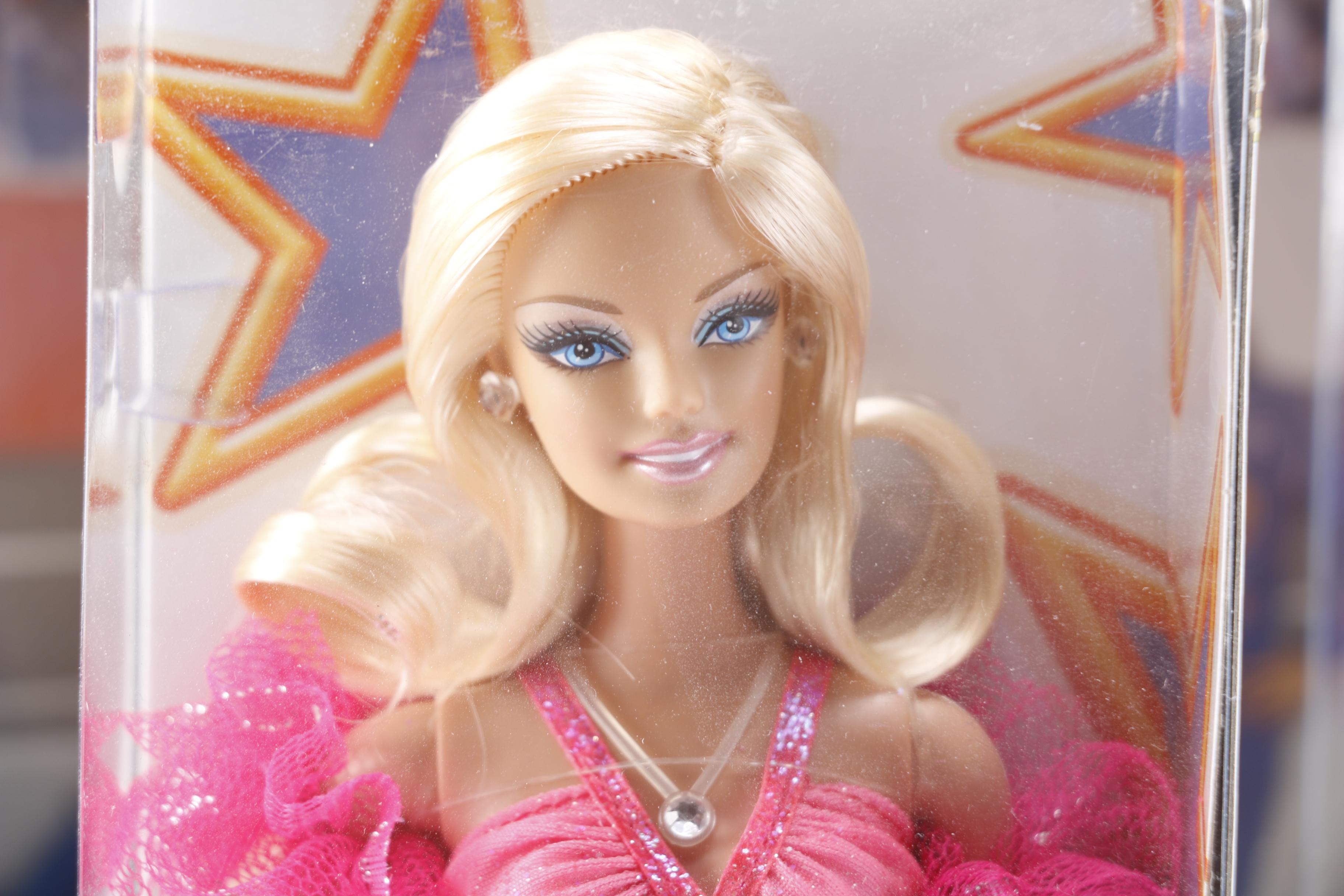 Career Themed Barbie Dolls