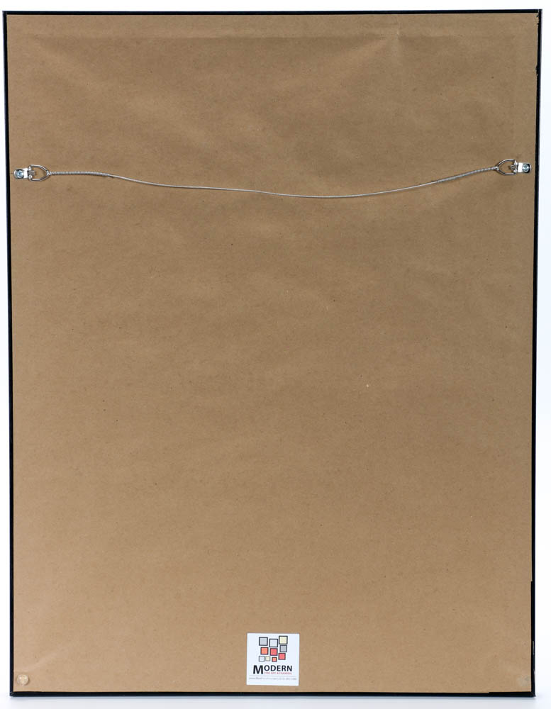 Shepard Fairey Signed Limited Edition Serigraph "Artists for Freedom"