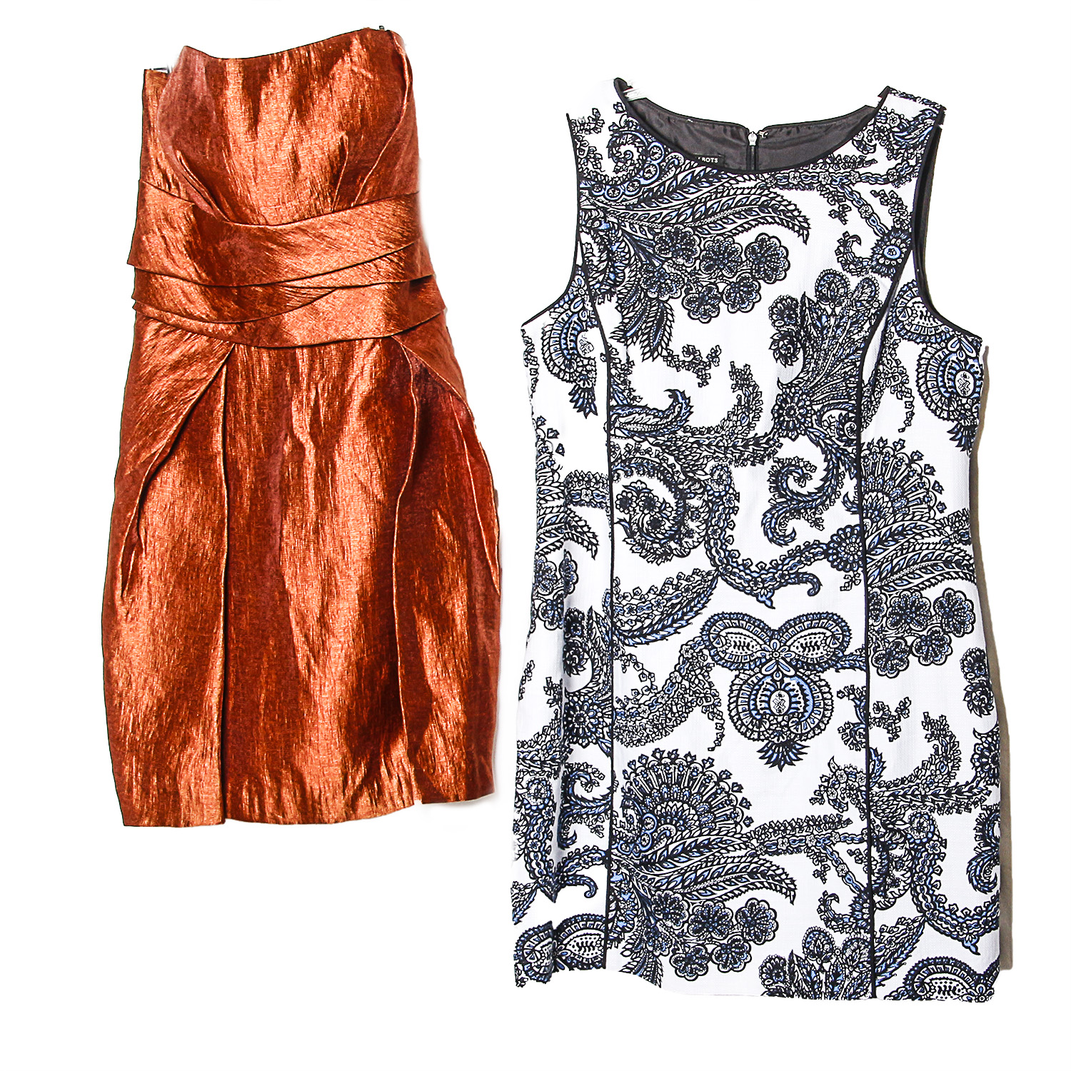 Pair of Women's Dresses