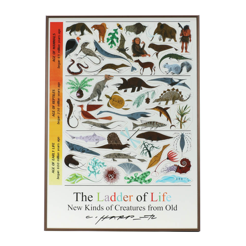 Charley Harper Offset Lithograph Poster "The Ladder of Life"