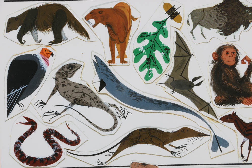 Charley Harper Offset Lithograph Poster "The Ladder of Life"