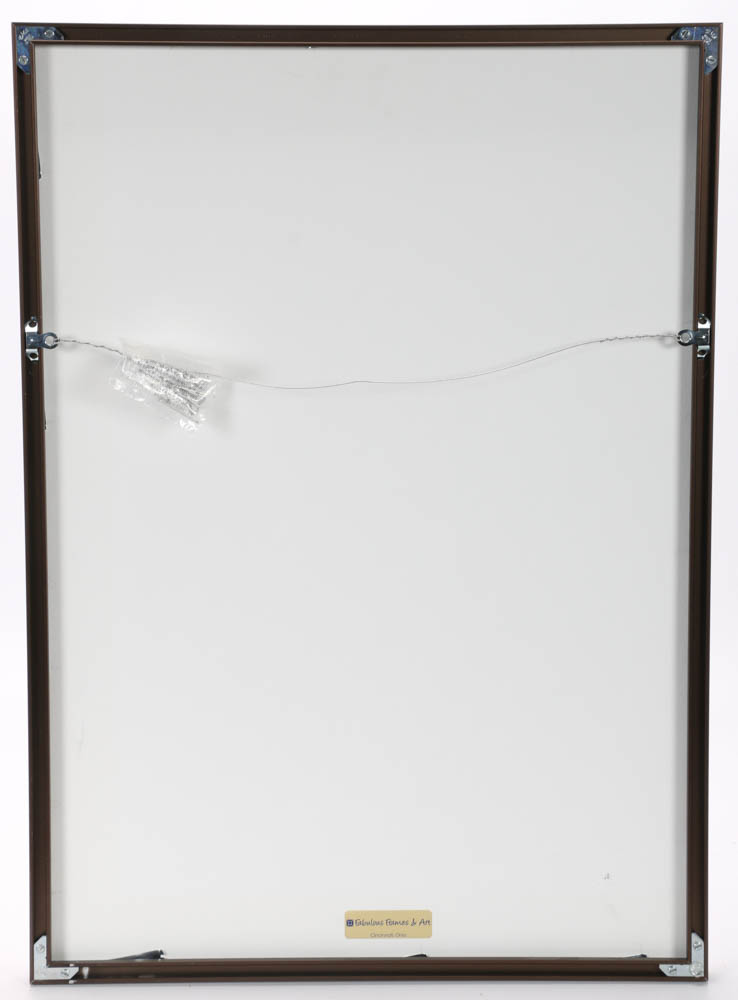 Charley Harper Offset Lithograph Poster "The Ladder of Life"