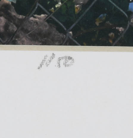 Chris Shenton Signed Limited Edition Giclee "Tour the Bahamas"