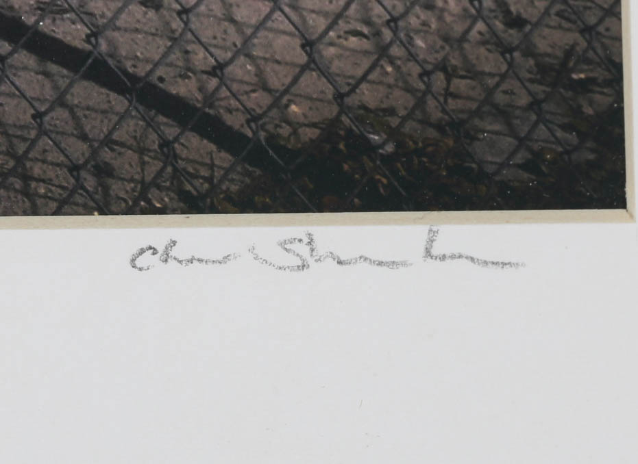 Chris Shenton Signed Limited Edition Giclee "Tour the Bahamas"