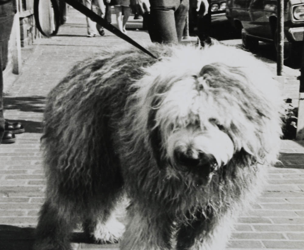 Two Ric Barros Signed Silver Gelatin Photographs