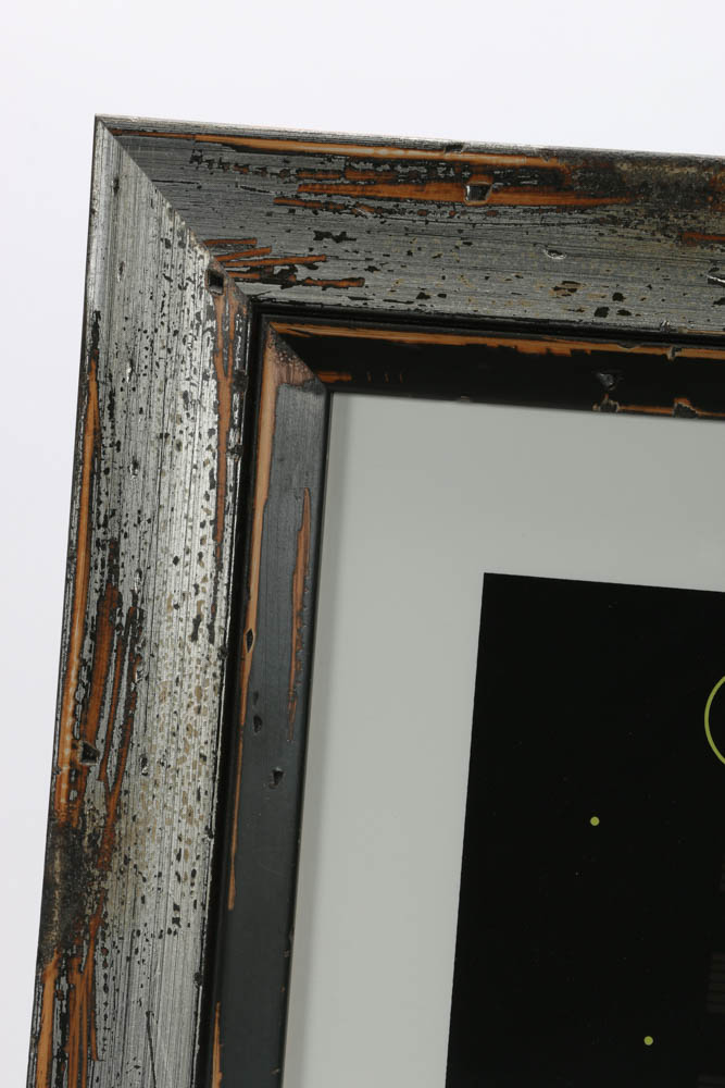 Charley Harper Signed Limited Edition 1980 Serigraph "Potluck"