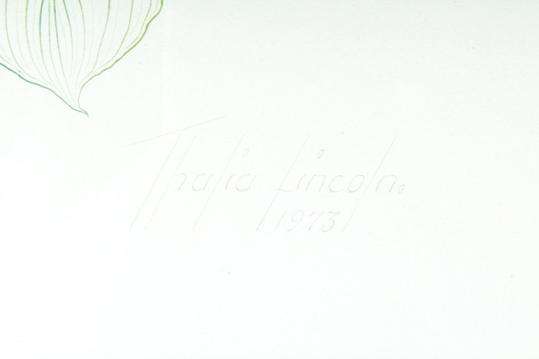 Thalia Lincoln "Zantedeschia Aethiopica" Lithograph