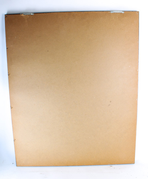 Thalia Lincoln "Zantedeschia Aethiopica" Lithograph