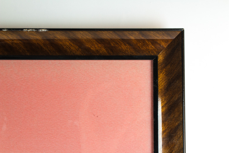 Thalia Lincoln "Zantedeschia Aethiopica" Lithograph