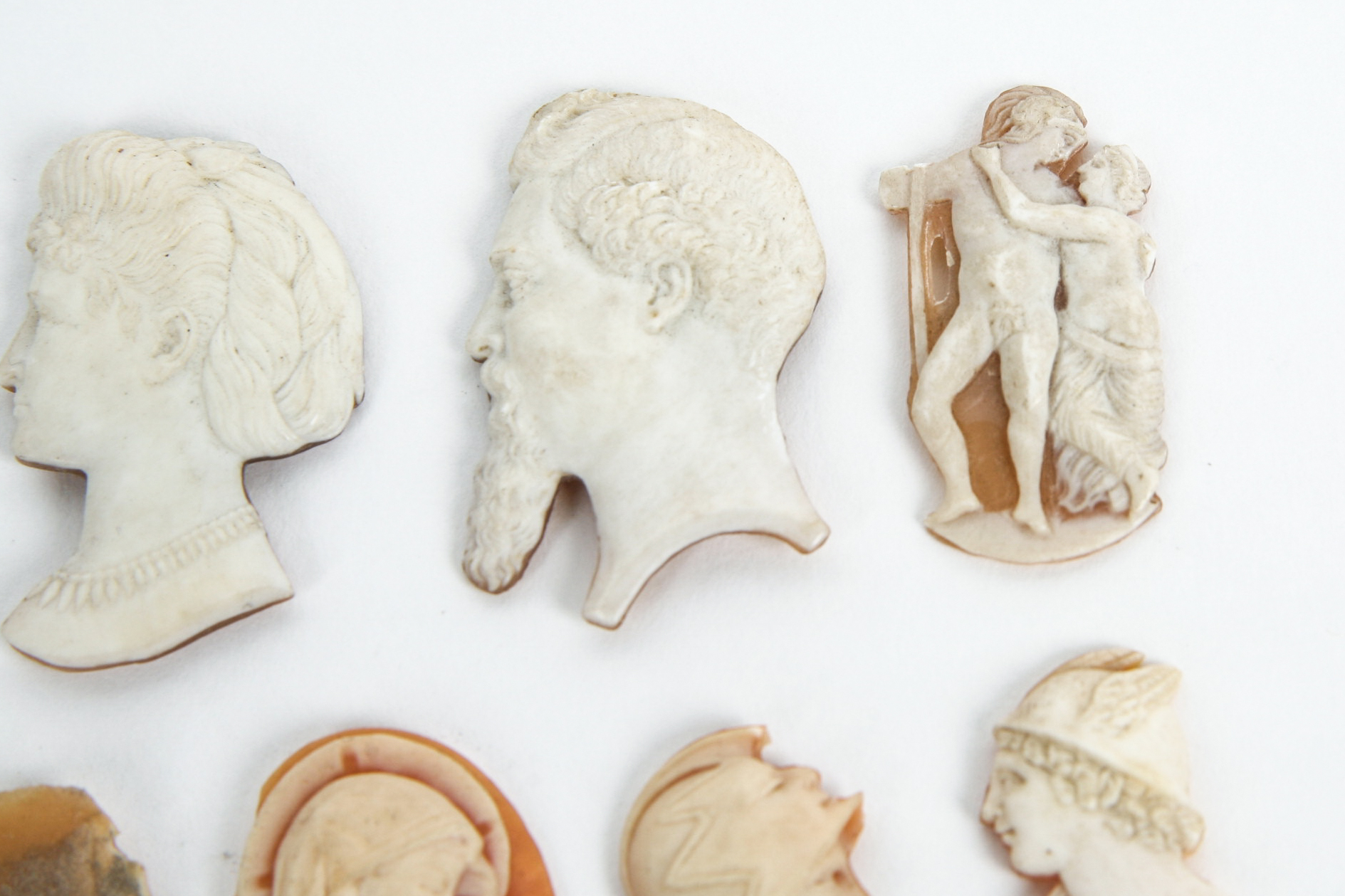 Grouping of Shell Cameos