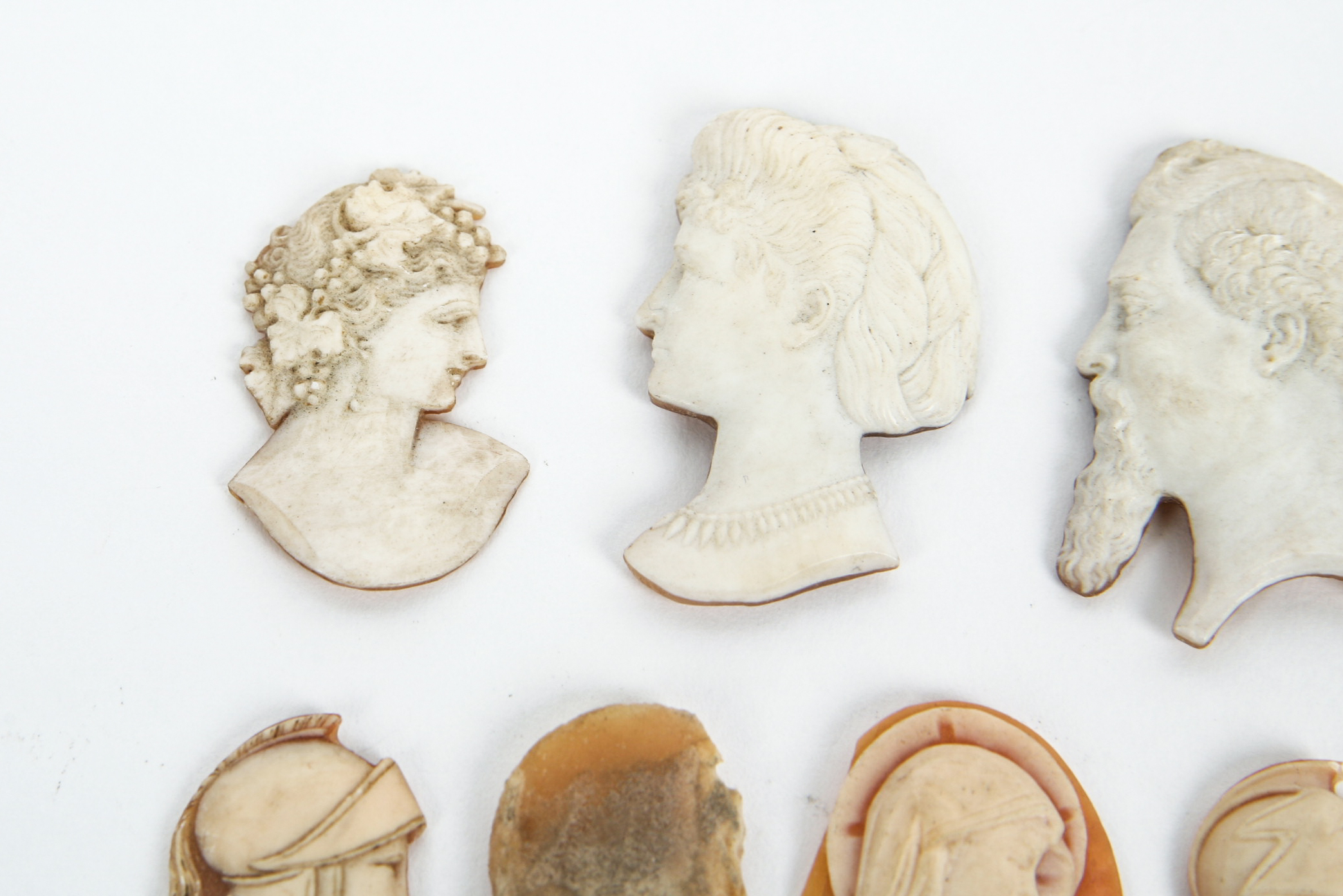 Grouping of Shell Cameos