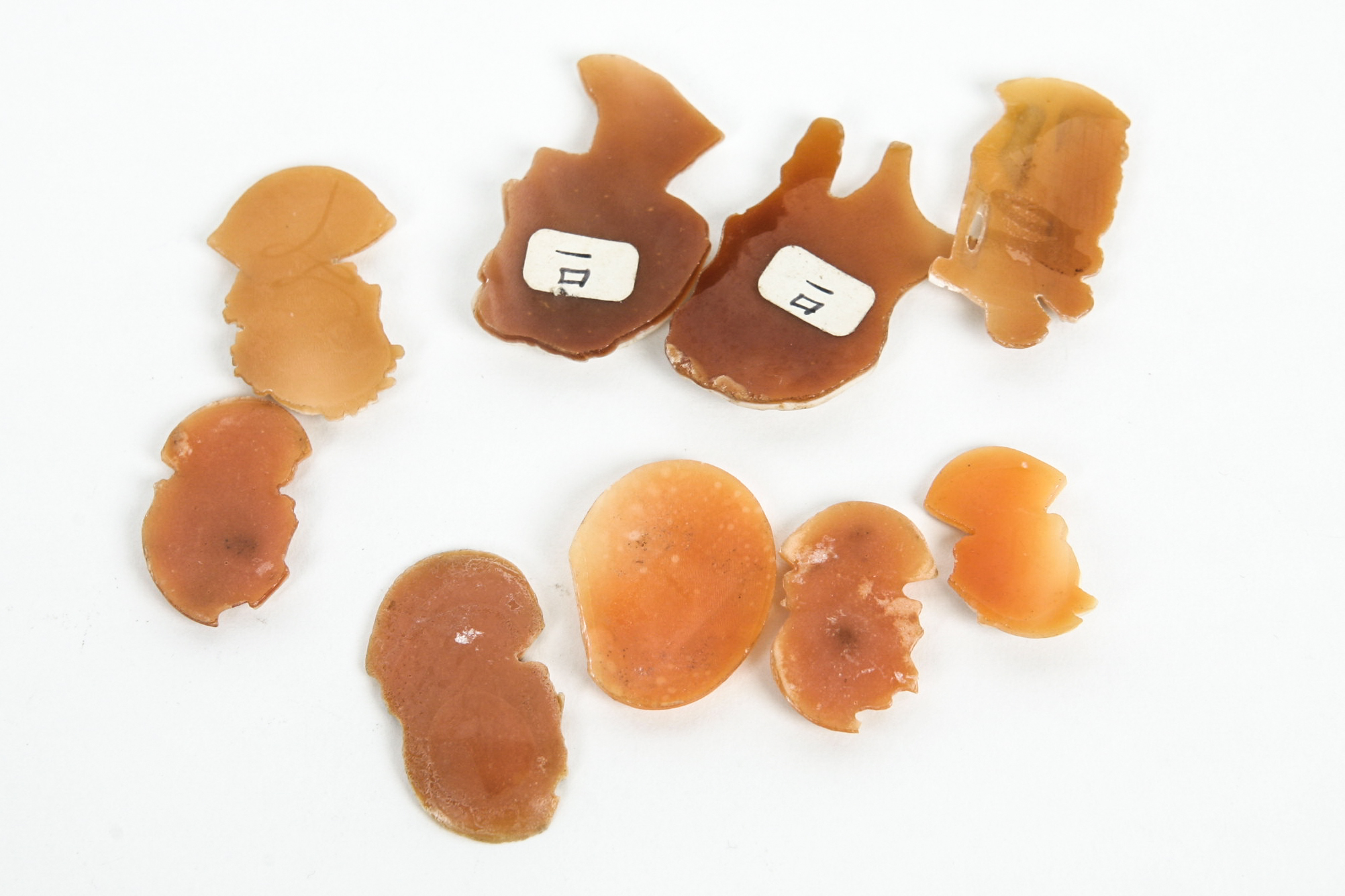 Grouping of Shell Cameos