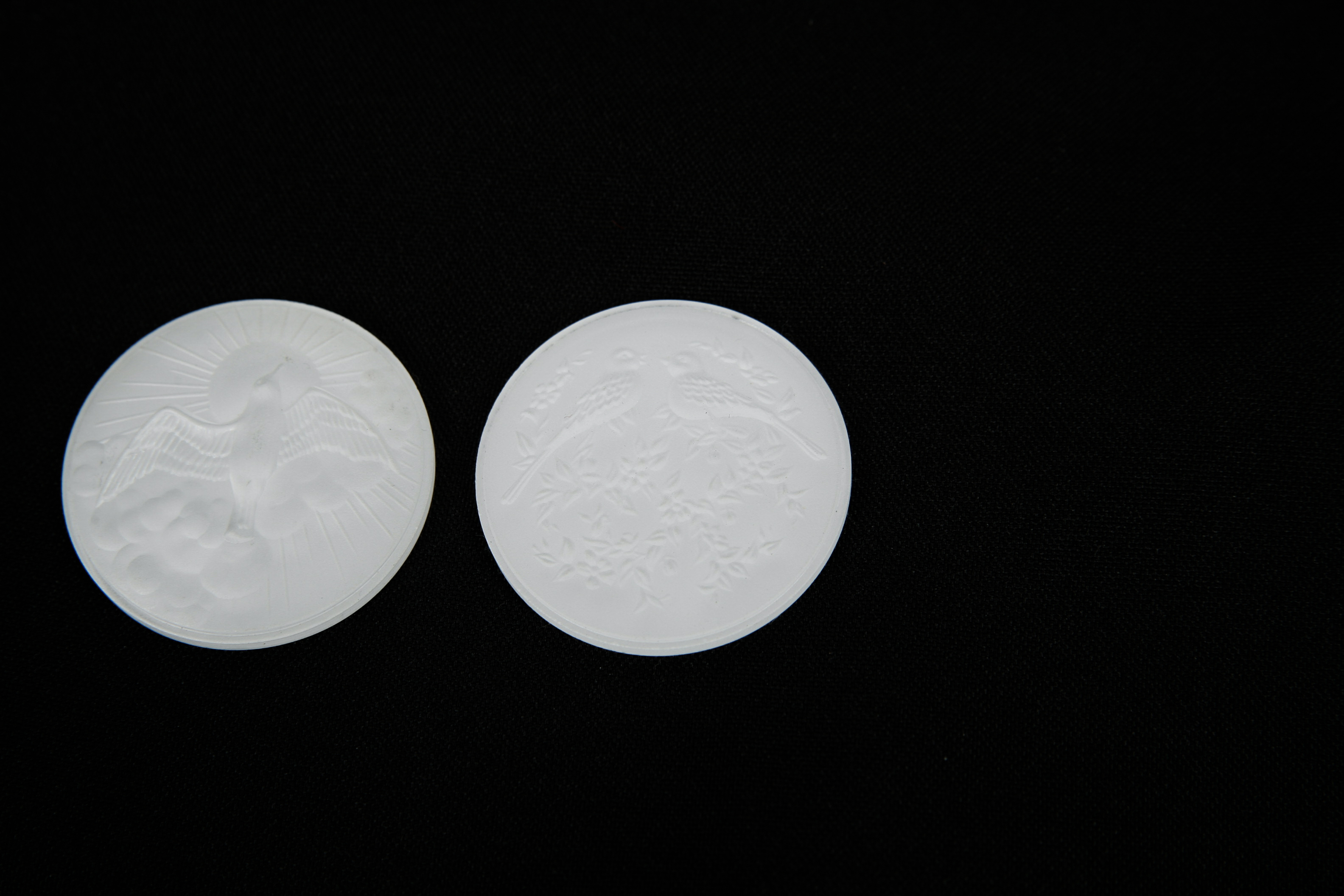 Pair of French Frosted Glass Disks