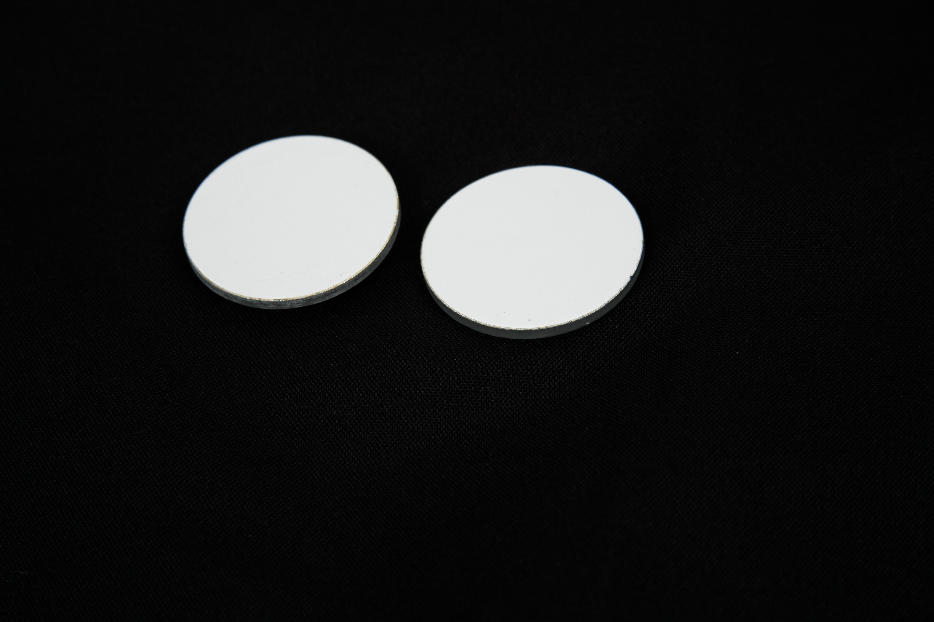 Pair of French Frosted Glass Disks