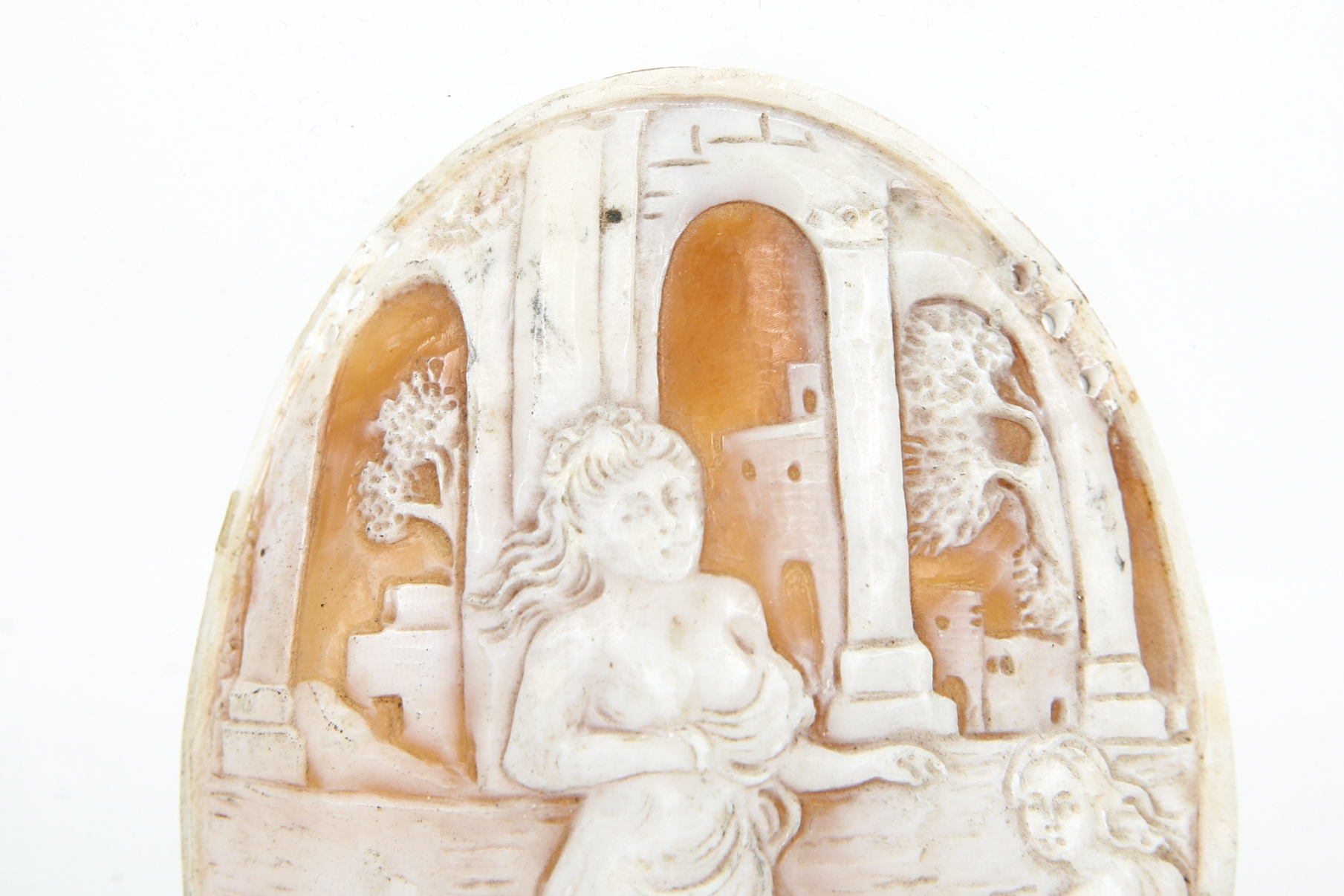 Large Unmounted Shell Cameo