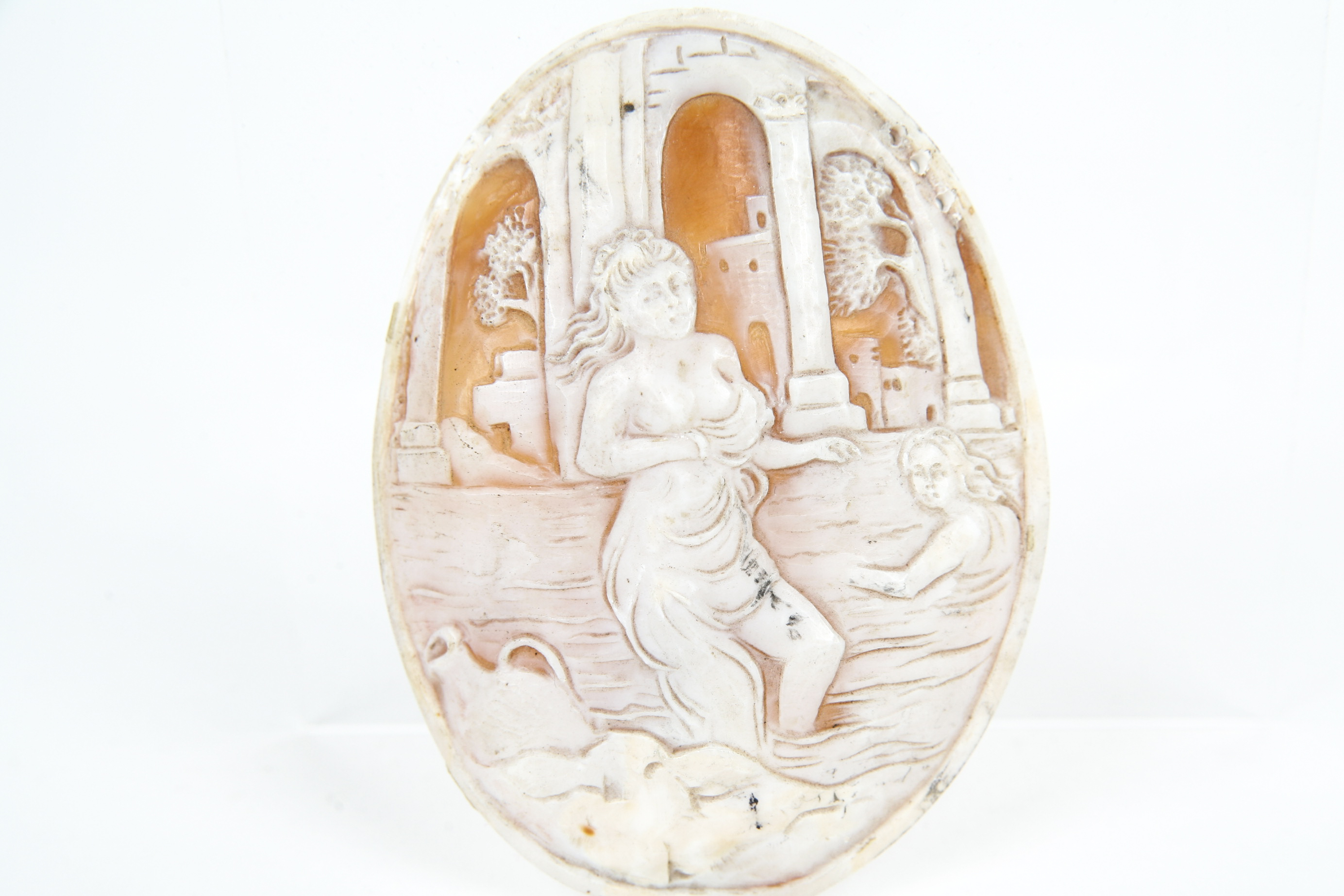 Large Unmounted Shell Cameo