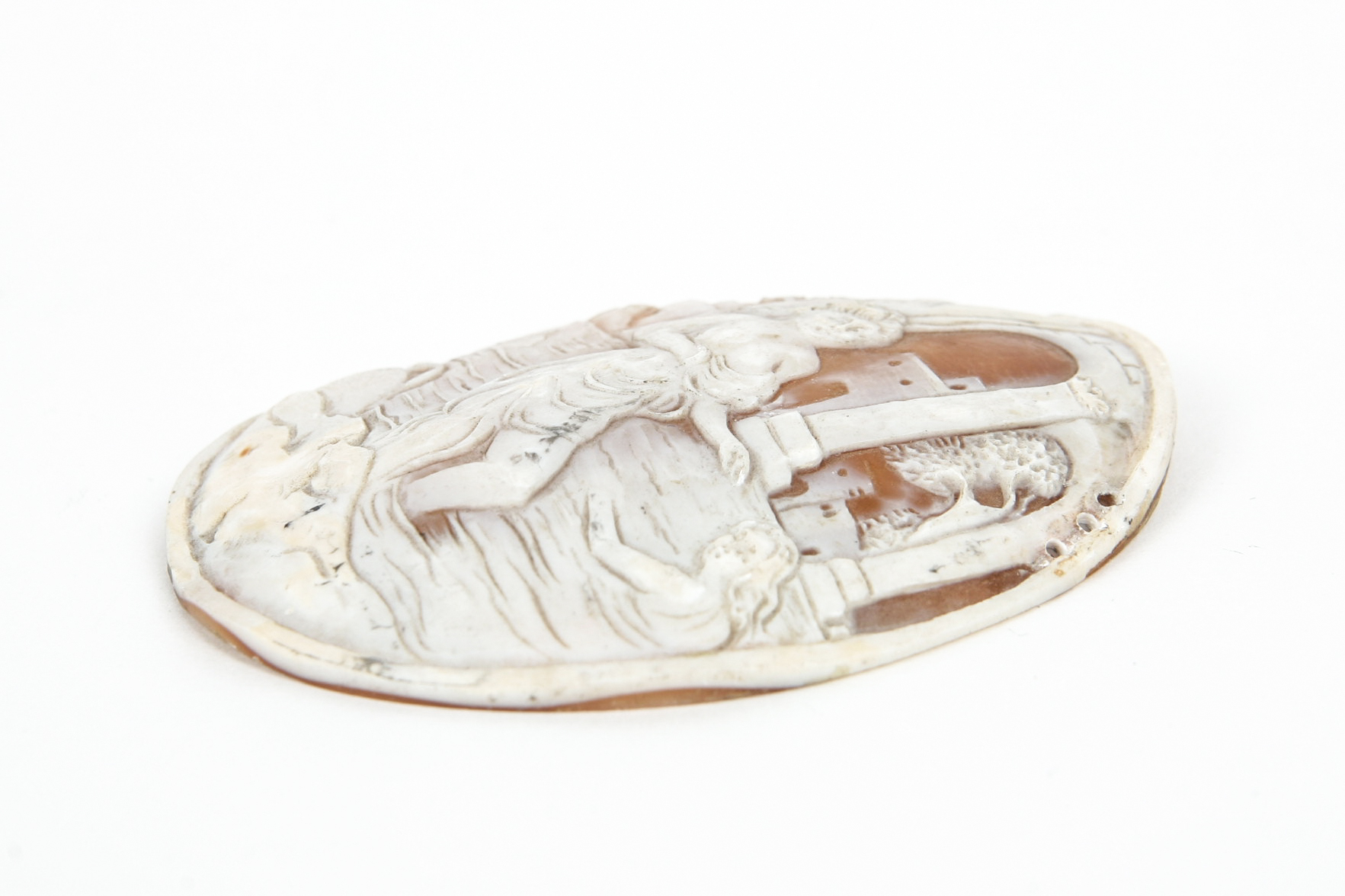 Large Unmounted Shell Cameo