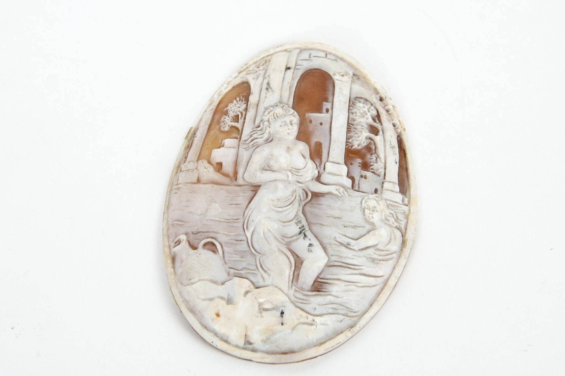 Large Unmounted Shell Cameo