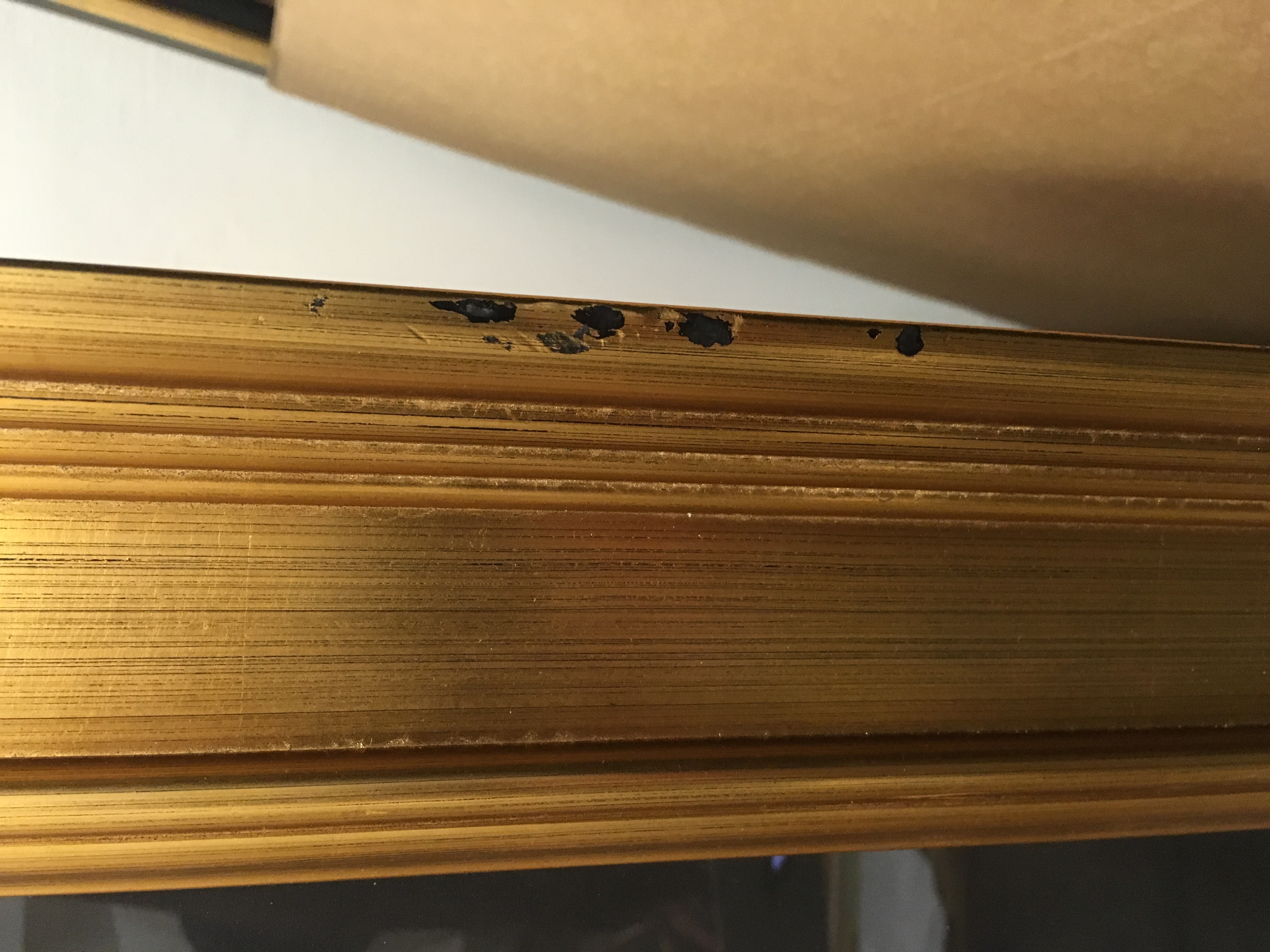 Alexandra Nechita "Live and Let Live" Signed Limited Edition Lithograph