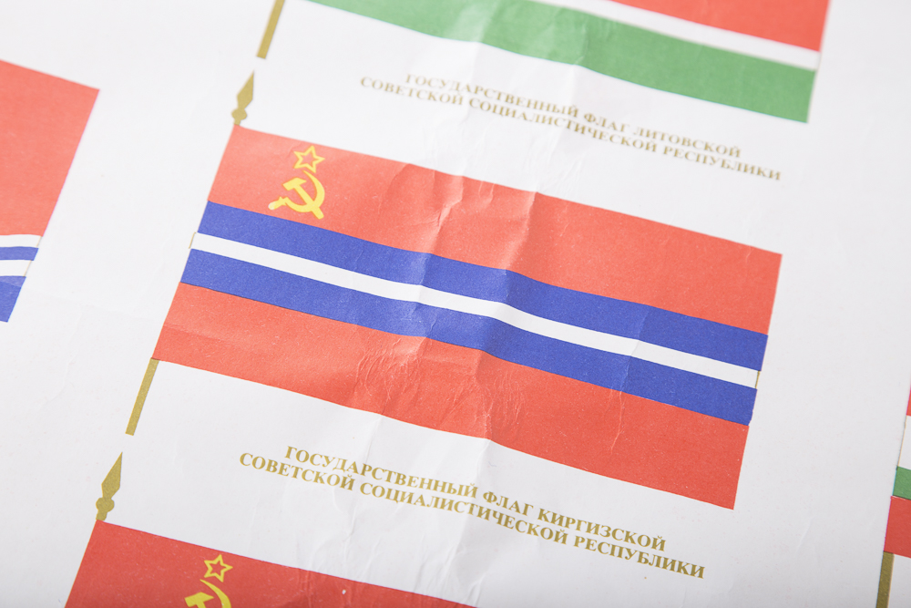 Flags of the United Soviet Socialist Republics Poster