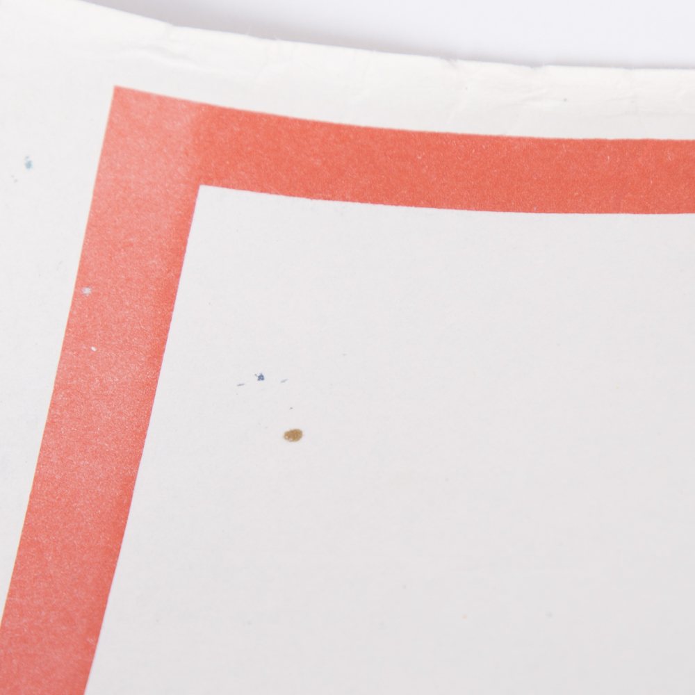 Flags of the United Soviet Socialist Republics Poster