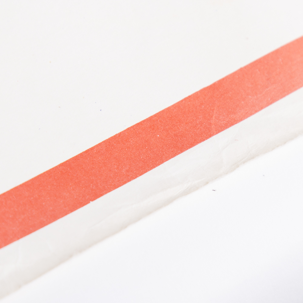 Flags of the United Soviet Socialist Republics Poster