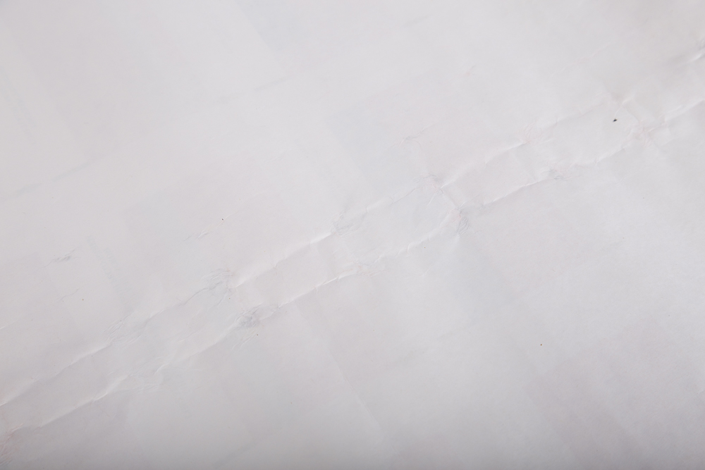 Flags of the United Soviet Socialist Republics Poster