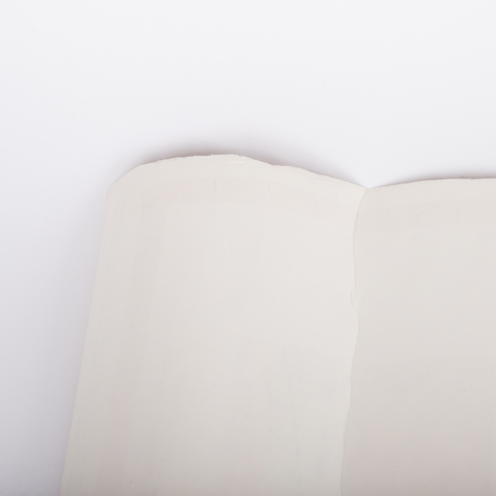 Flags of the United Soviet Socialist Republics Poster