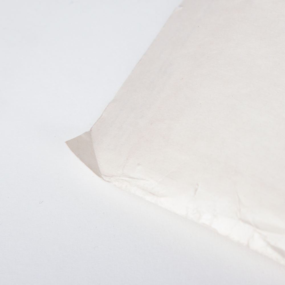 Flags of the United Soviet Socialist Republics Poster