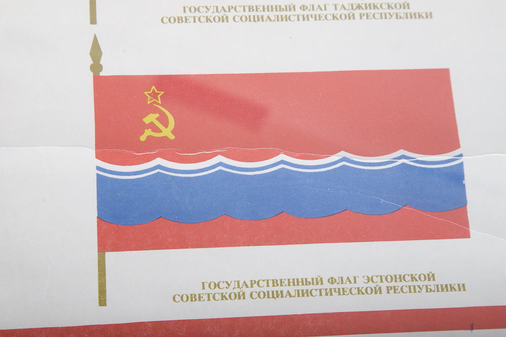 Flags of the United Soviet Socialist Republics Poster