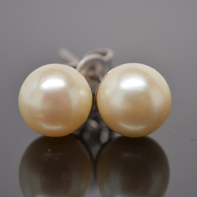 14K White Gold Cultured Pearl Pierced Earrings